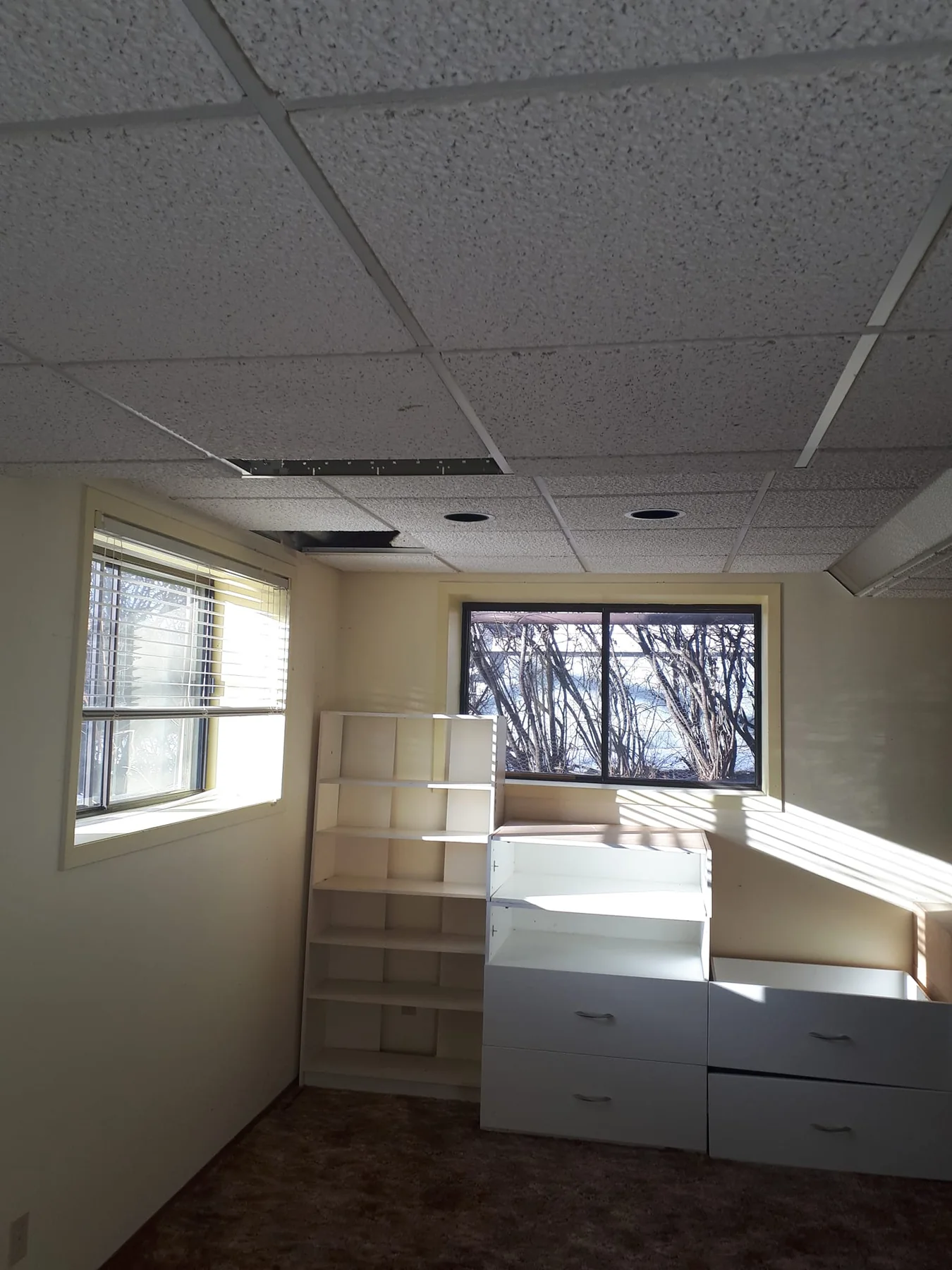 Basement before renovation with drop ceiling and old built-in storage